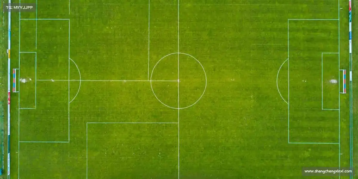 <strong>BB贝博艾弗森官方网站</strong>🏊‍♀️畅游体育世界，每一次挥臂都是力量！