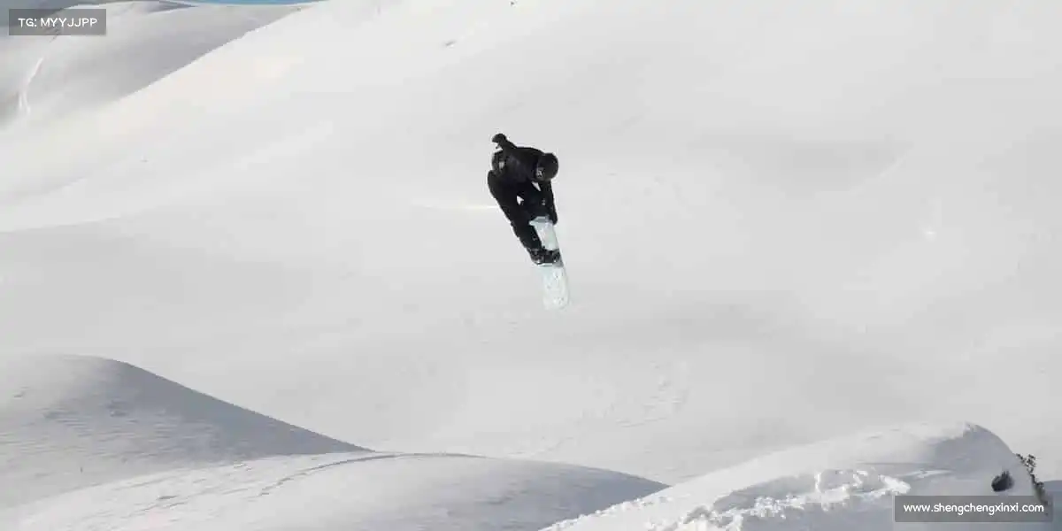 行业领先的理由